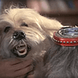 Garth's avatar