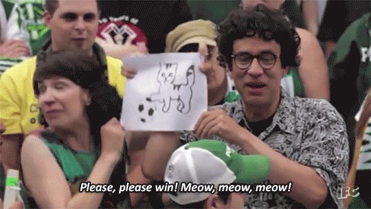 Portlandia "please please win, meow meow meow"