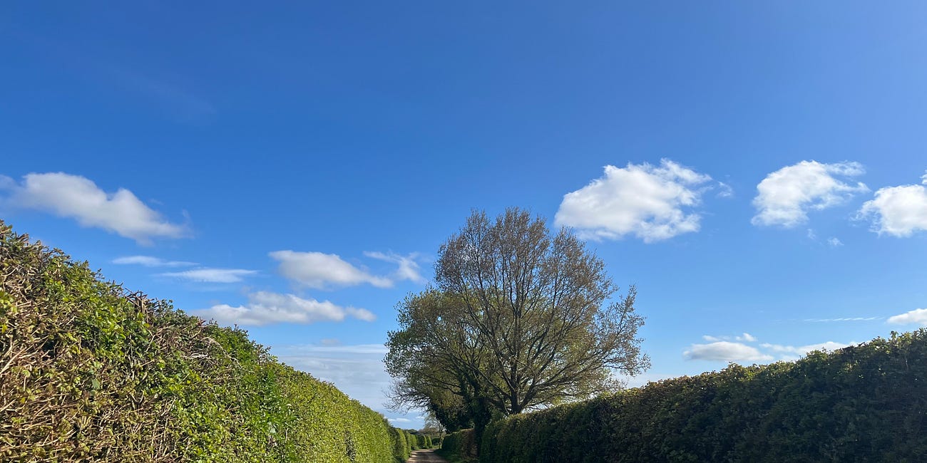 Another Country Diary #23
