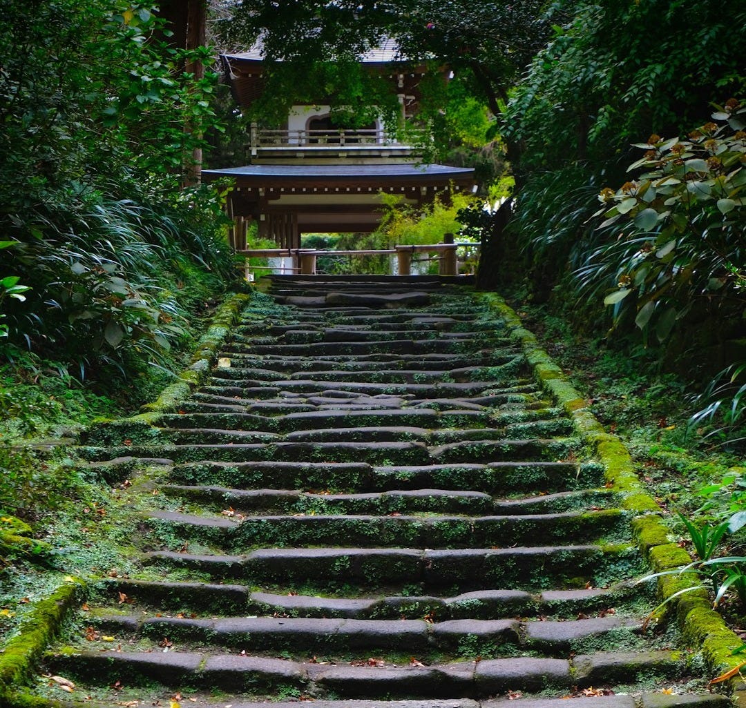 A set of stone steps in the middle of a forest