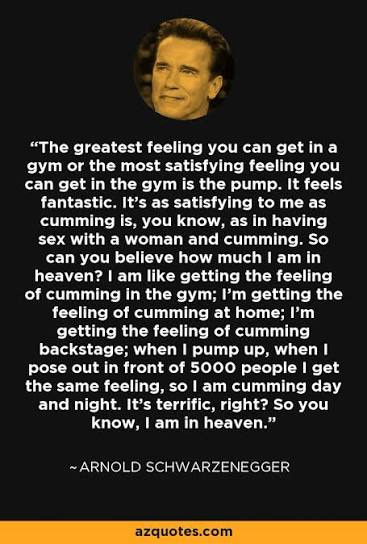 Arnold Schwarzenegger quote: The greatest feeling you can get in a gym or...