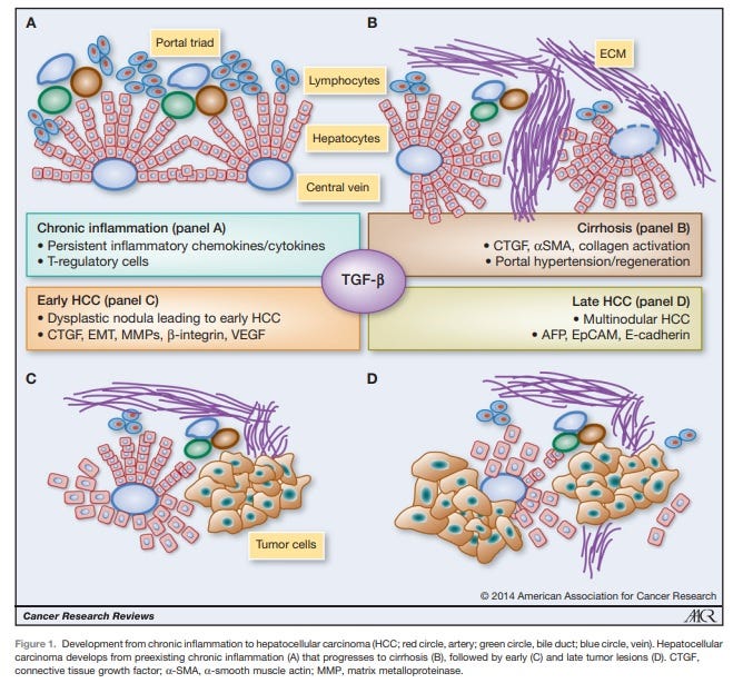 Ivermectin May Defeat Cancer and Other Common Chronic Diseases of Aging
