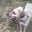 Cynthia Phillips's avatar