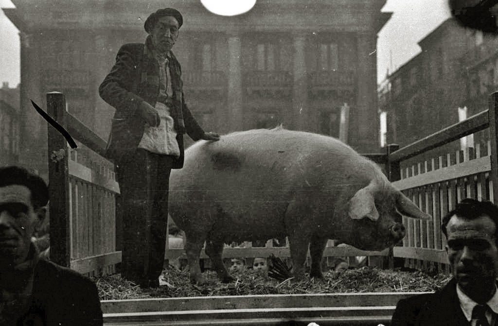 File:Zerria san tomas donostia 001.jpg - Wikimedia Commons