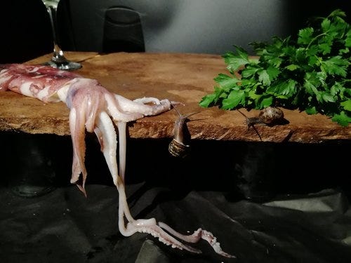 possible snail models.jpg