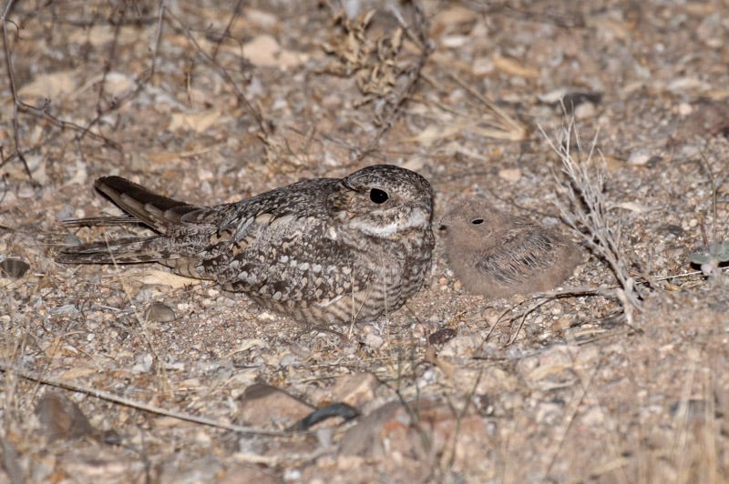 20200623_LN-70-Edit.jpg 20200623_LN-70-Edit.jpg