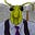 Cricket Clearwater's avatar