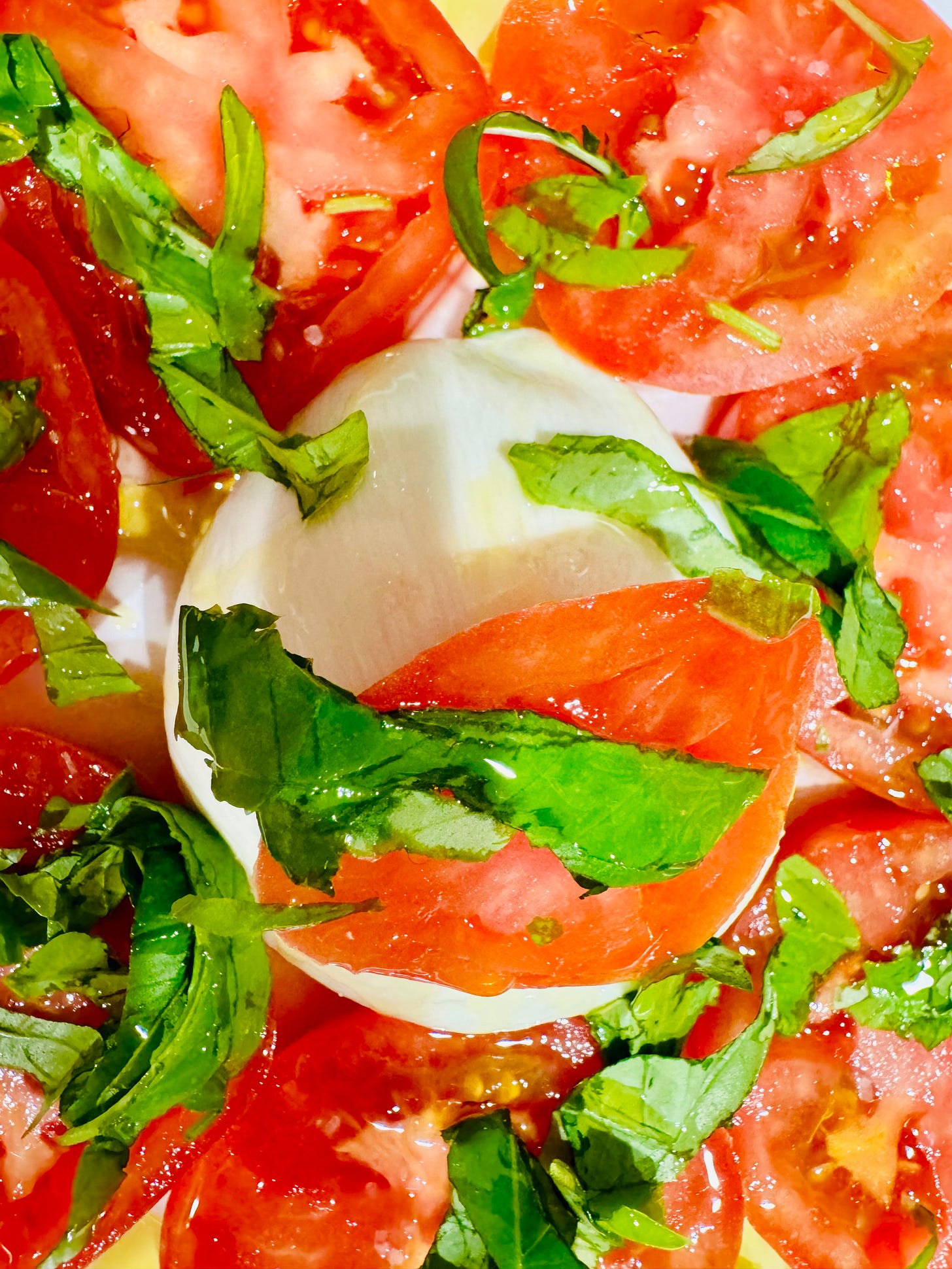 Campania caprese style salad with tomoates, burrata, basil, maldon salt, and extra virgin olive oil Campania caprese style salad with tomoates, burrata, basil, maldon salt, and extra virgin olive oil