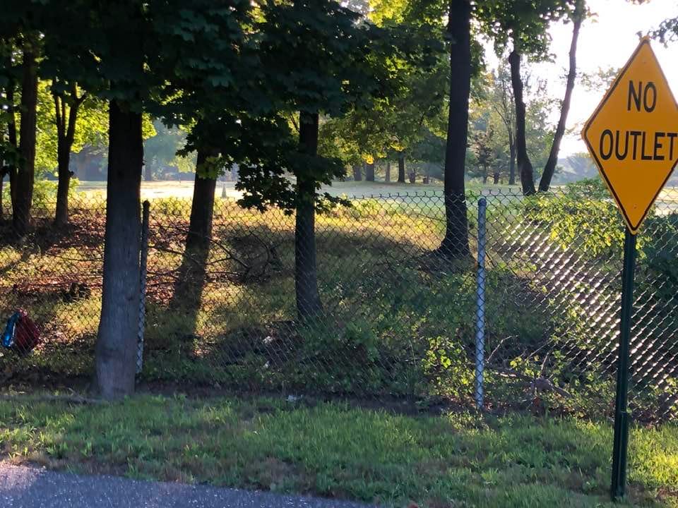 May be an image of deer, road, grass and text that says 'NO OUTLET'
