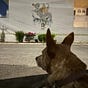 Luis Rios's avatar