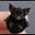 CO batty bat 🥰's avatar
