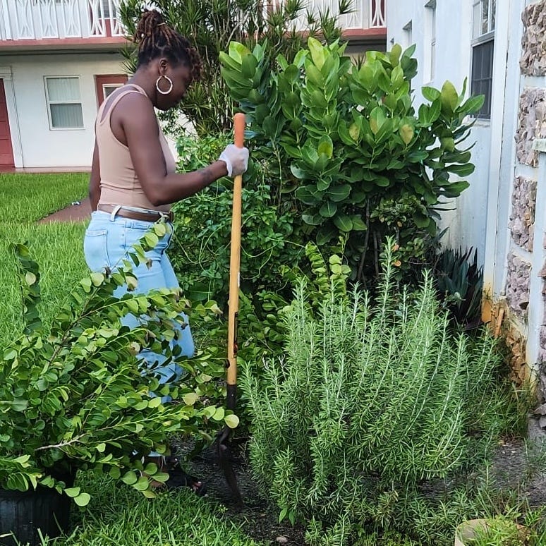 Black woman standing with a shovel in hand amongst tropical foliage in an urban setting. She's preparing to plant a cocolum in a side yard garden.
