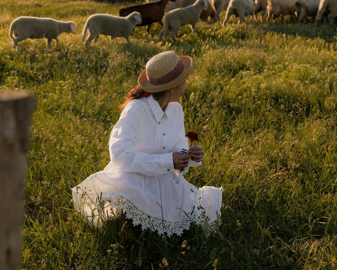 a woman sitting in a field with a herd of sheep