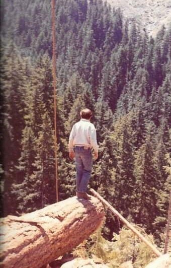 Young man standing on the end of a log overlooking a hillside