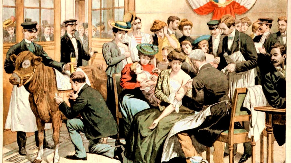 Holy Cow and The Story of Origin of Vaccine That Ended Smallpox