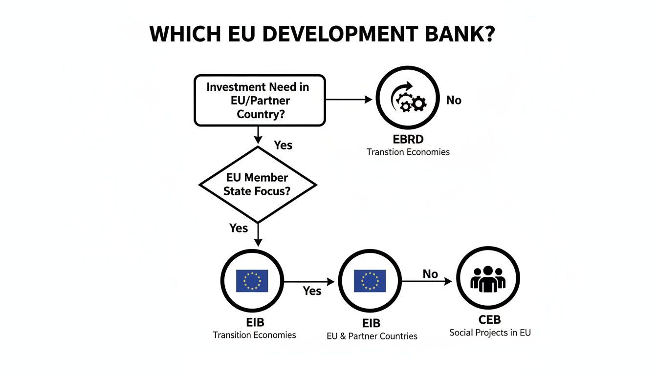 Flowchart detailing the selection process for EU development banks based on investment needs and country focus.