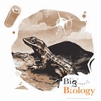 Big Biology