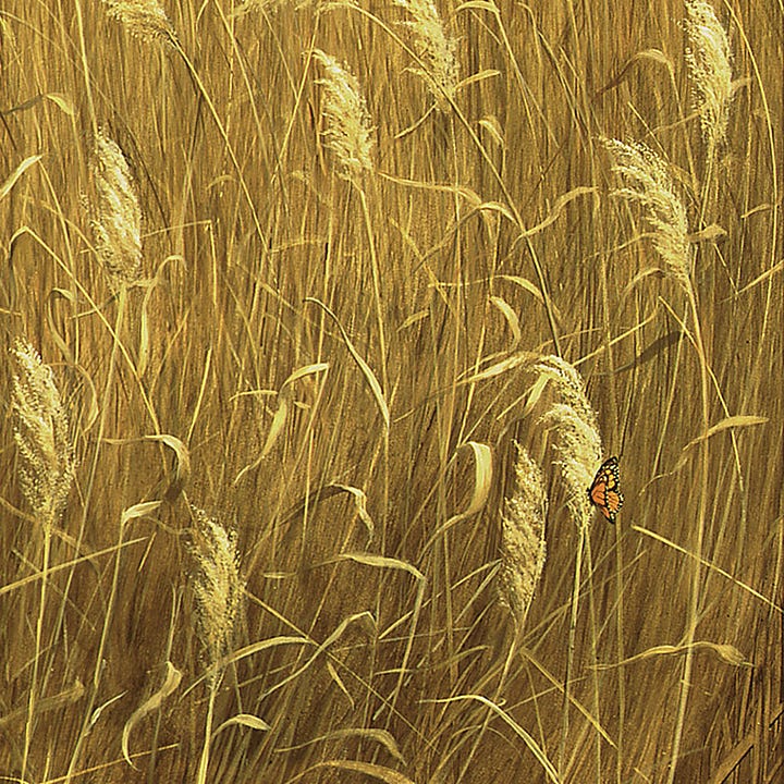 LEFT: Figure detail from PATHLESS featuring a barefoot woman in a long black dress with subtle purple accents at the waist, cuffs, and neck. Her feet are awkwardly position on a rock in the path through a golden field of wheat. As she cranes her head back, her fingers touch the thin black band around her neck holding a broach. RIGHT: Detail from PATHLESS featuring an orange butterfly perching on tuft of golden wheat blowing in the breeze.