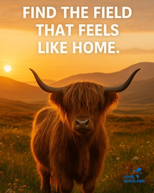 May be an image of text that says "FIND THE FIELD THAT FEELS LIKE HOME. LOVE LOVE SCOTLAND"