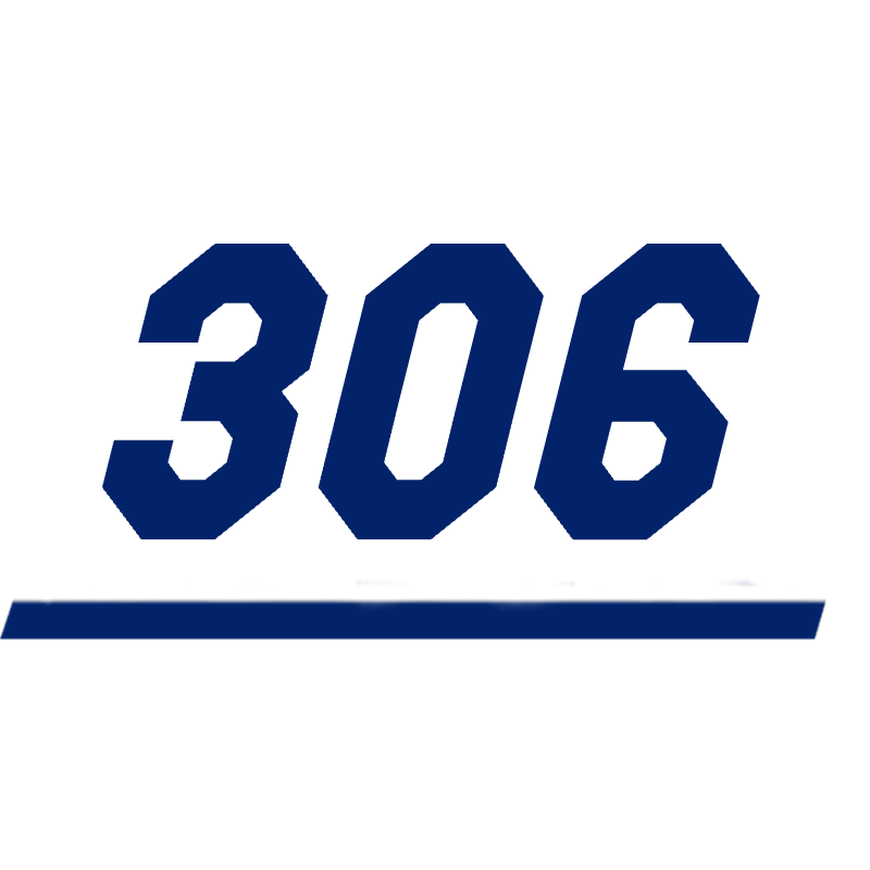 Section 306 logo
