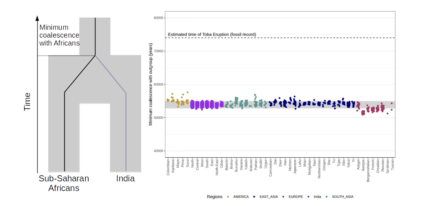 Image showing a population model with divergence following minimum coalescence, and comparisons of all genomes showing minimum coalescence in a narrow band between 53,000 and 55,000 years ago Image showing a population model with divergence following minimum coalescence, and comparisons of all genomes showing minimum coalescence in a narrow band between 53,000 and 55,000 years ago