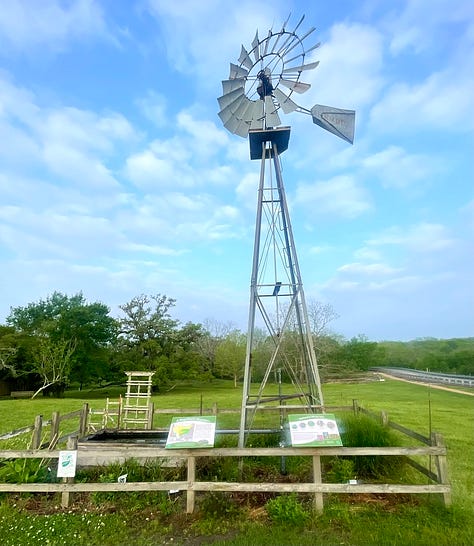 Photos taken outside of the Monarch Butterfly Pavilion of the windmill and the placards explaining the migration route.