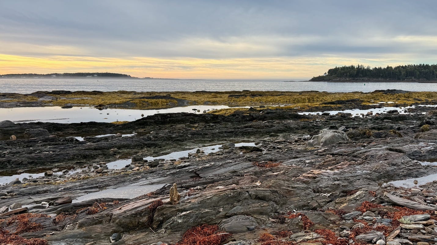 A rocky beach with water and land in the background

AI-generated content may be incorrect.