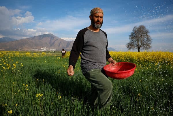 Global Food Supply Faces a Dangerous Bottleneck as Iran War Persists - The  New York Times