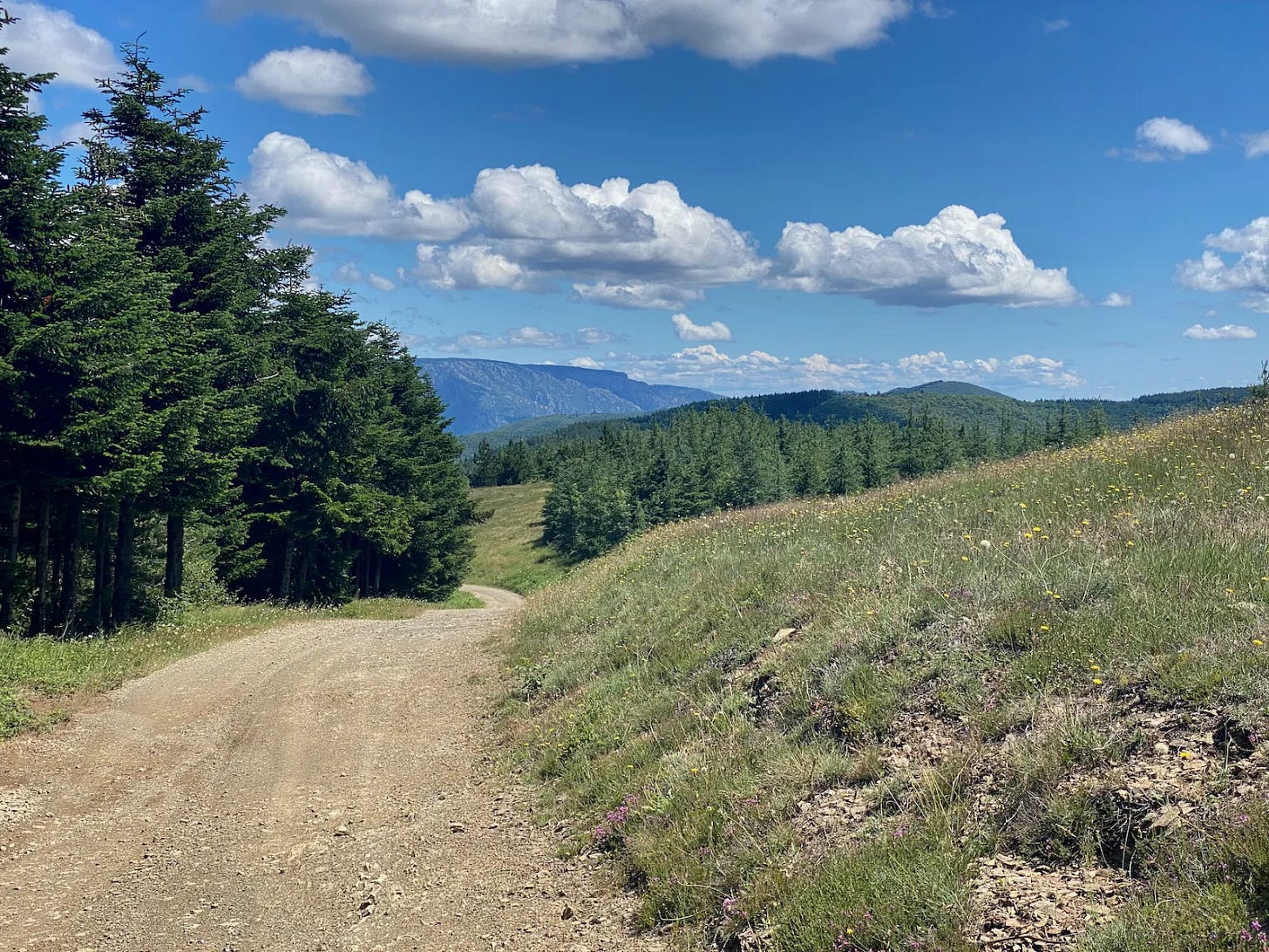 Serre de la Tourelle