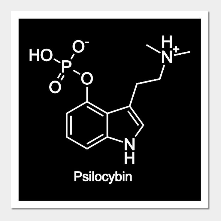 QuadCityTO Mushrooms Co. psilocybin