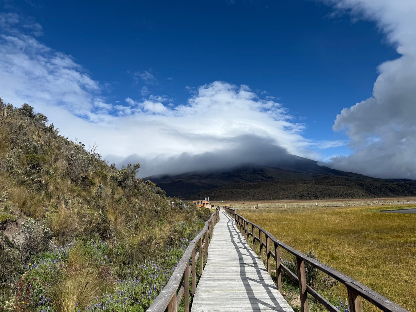 Cotopaxi National Park view of Cotopaxi Volcano, Ecuador, from nearby lake on walkway, clear, crisp, beautiful day Cotopaxi National Park view of Cotopaxi Volcano, Ecuador, from nearby lake on walkway, clear, crisp, beautiful day