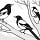 A Mischief of Magpies
