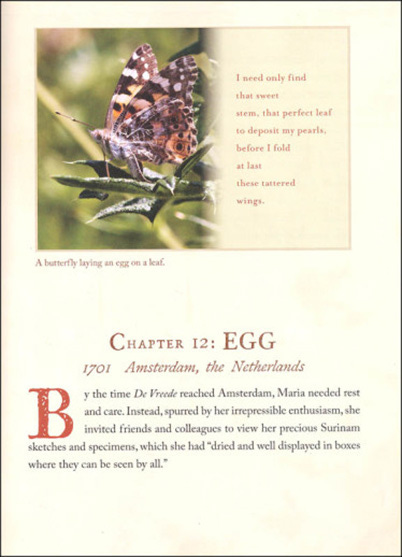 from The Girl Who Drew Butterflies by Joyce Sidman