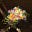 هَمْسُ's avatar