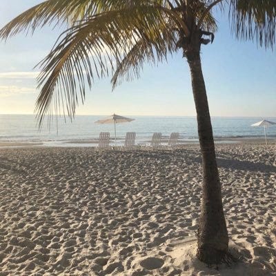 Beached’s Newsletter