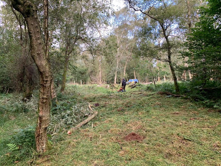 More before and after. We're coming up to the camp here.