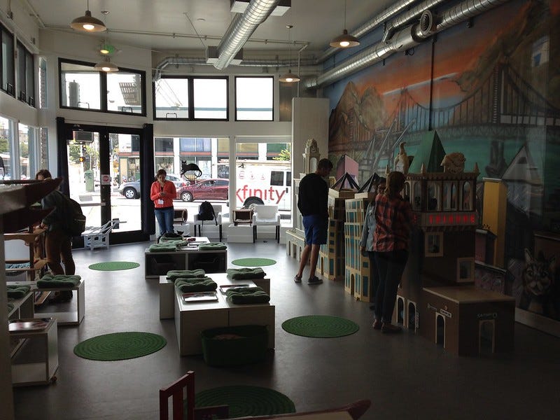 Cat Town Cafe, Oakland Cat Town Cafe, Oakland