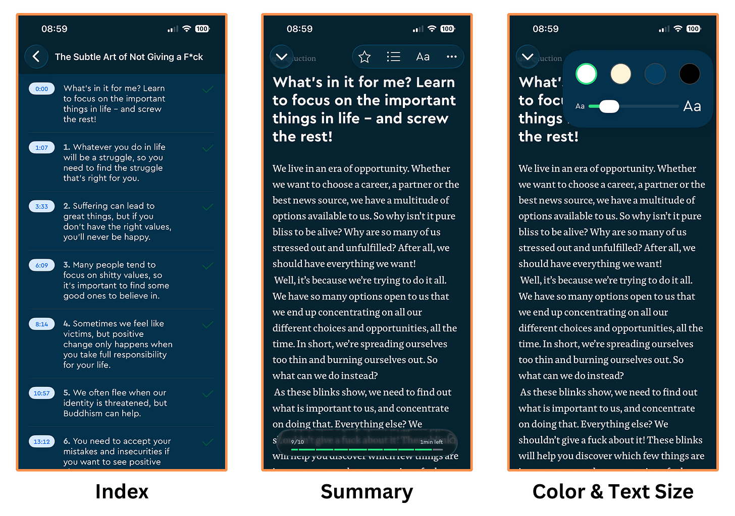 Blinkist summary (mobile app + dark mode)