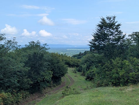 Views before the track disappeared