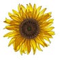 Donna Lancaster's avatar