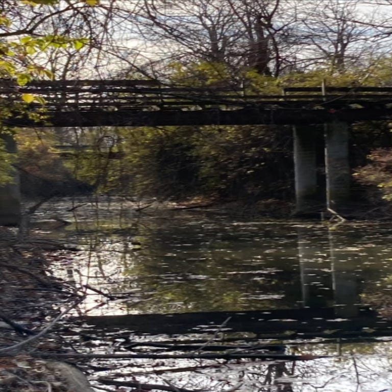 Eliseo F.G. McCarthy