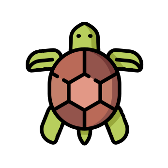 Turtles Research