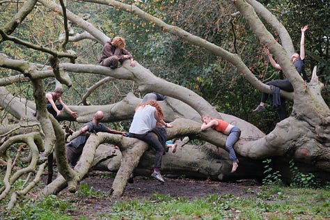 Treeverse Workshop in Hamstead Heath