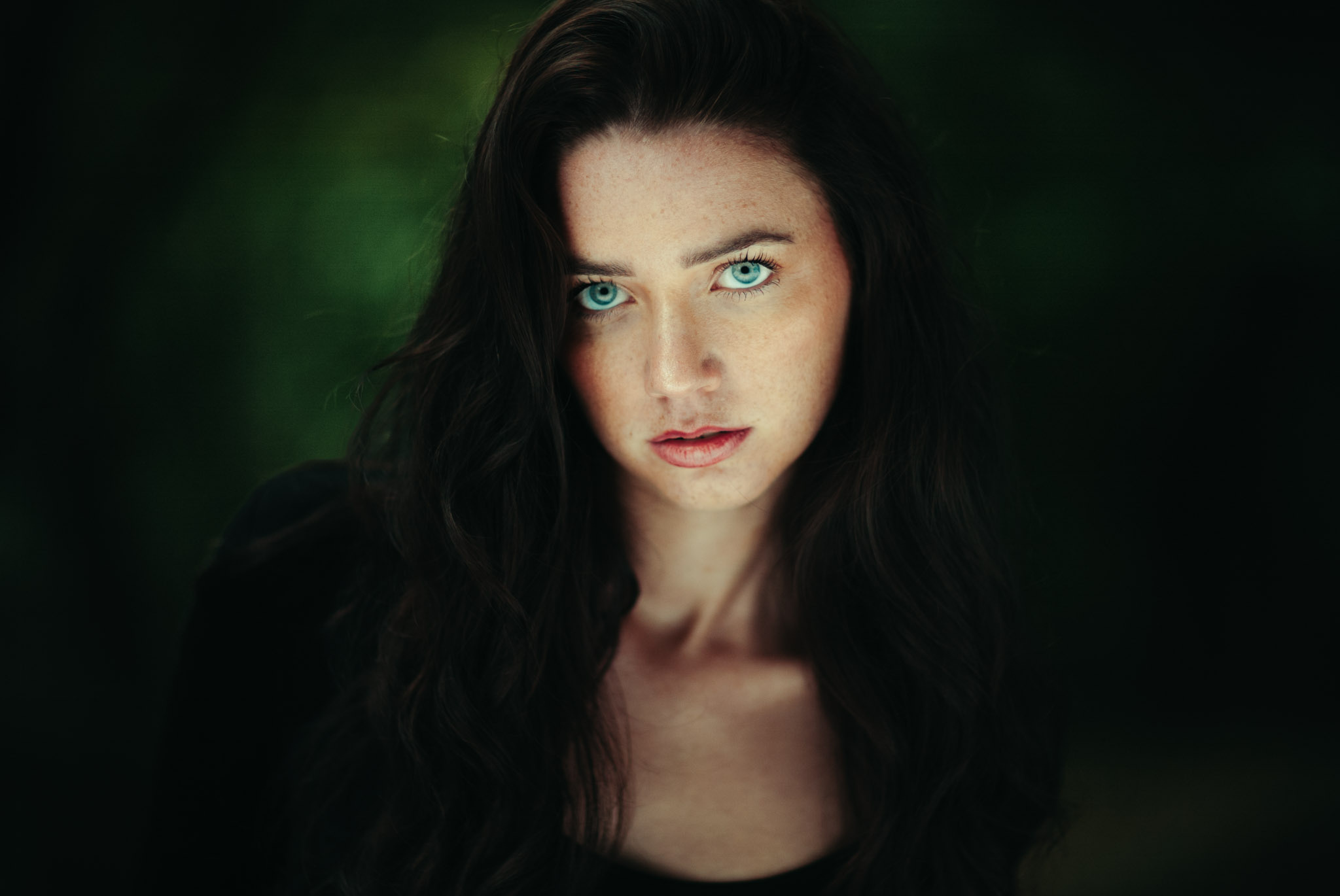 Best Ccd Cameras To Buy And Actually Use