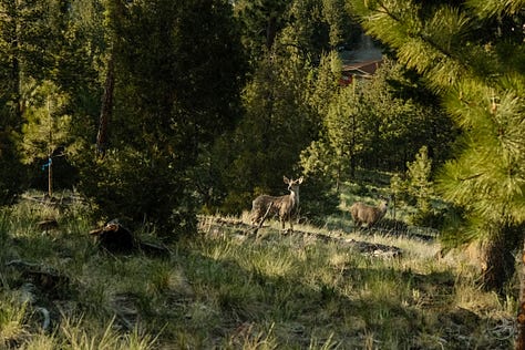 Fuji photographs of life in Montana by Tyler Knott Gregson