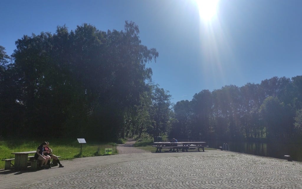A paved area right by the water, with a path heading off through the trees.