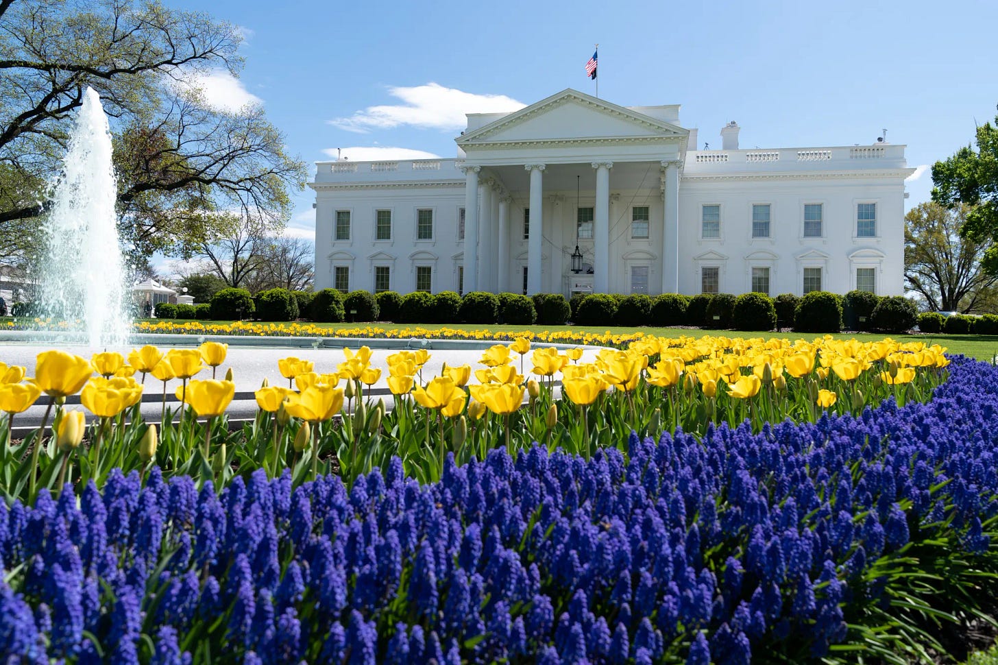 Photo: Exterior photo of the White House with yellow and purple flowers in the foreground.