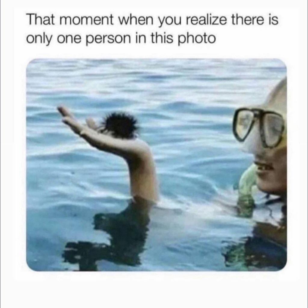 May be an image of 2 people, people swimming and text that says "That moment when you realize there is only one person person onlyonepersoninthisphot in this photo"