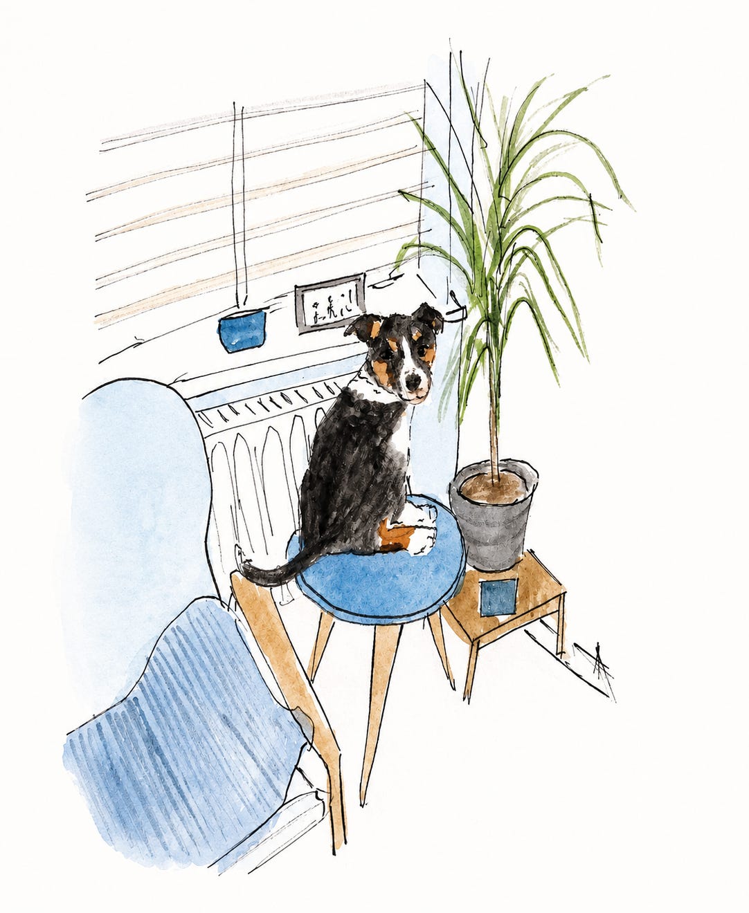 A loose ink-and-watercolour illustration of Barney as a puppy. He is perched on a small blue side table beside a tall potted houseplant, turning to look over his shoulder with an unmistakably guilty-yet-adorable expression. The cosy room includes a blue chair, radiator and window blinds sketched in the background. The illustration captures the joyful mischief of puppyhood and accompanies a reflection on puppies, parenthood and looking back on life's demanding but precious seasons.
