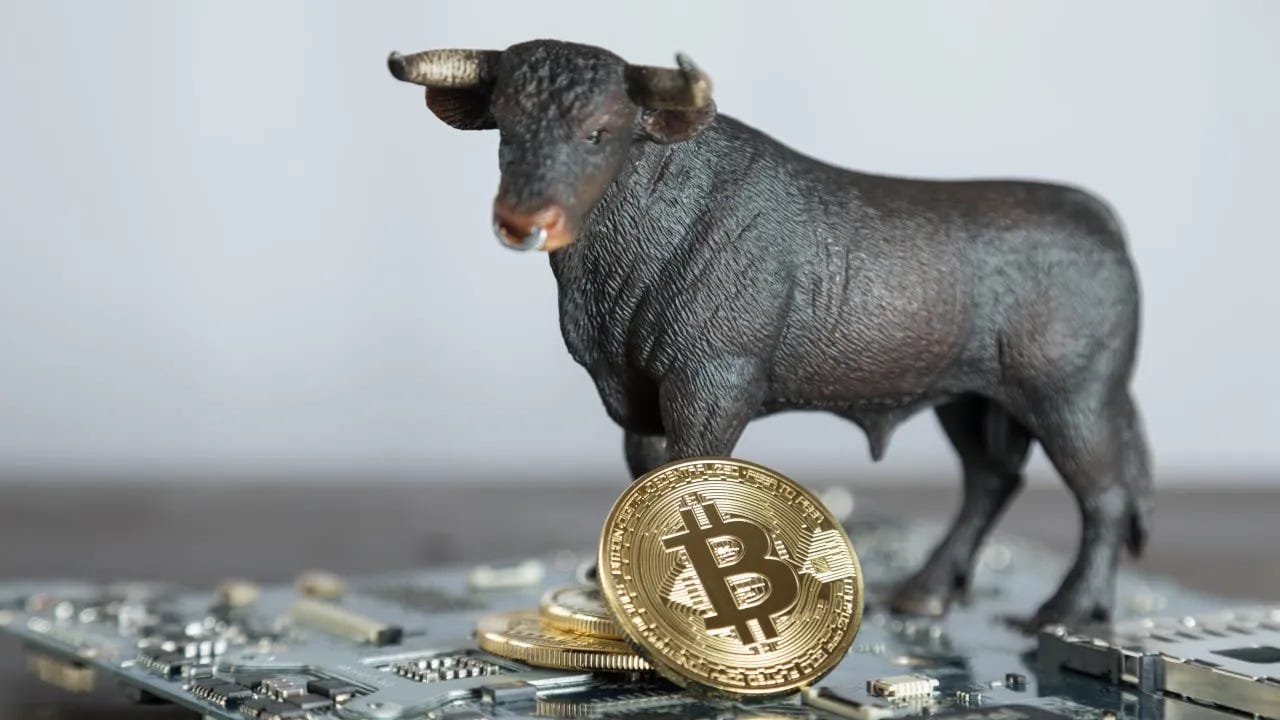 Bitcoin has been on a historic bull run. Image: Shutterstock Bitcoin has been on a historic bull run. Image: Shutterstock